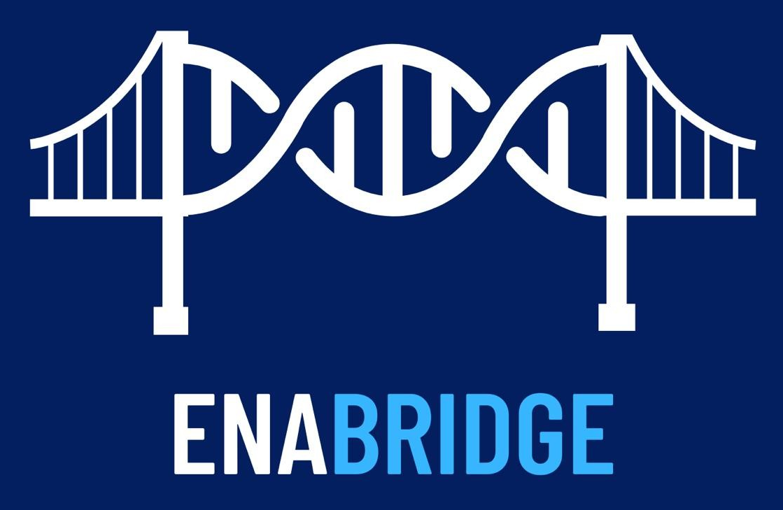 Ena Bridge